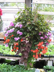A gorgeous shade basket
