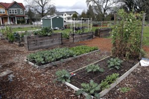 Windsor Garden Club's community garden