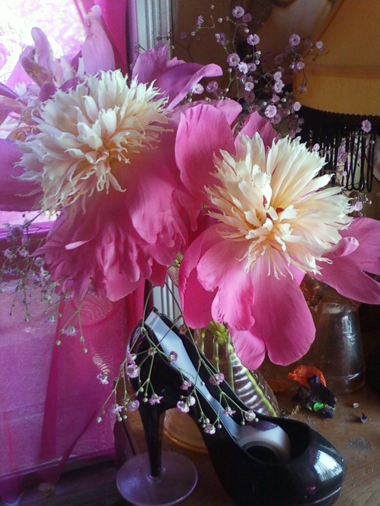 'Bowl of Beauty' peony